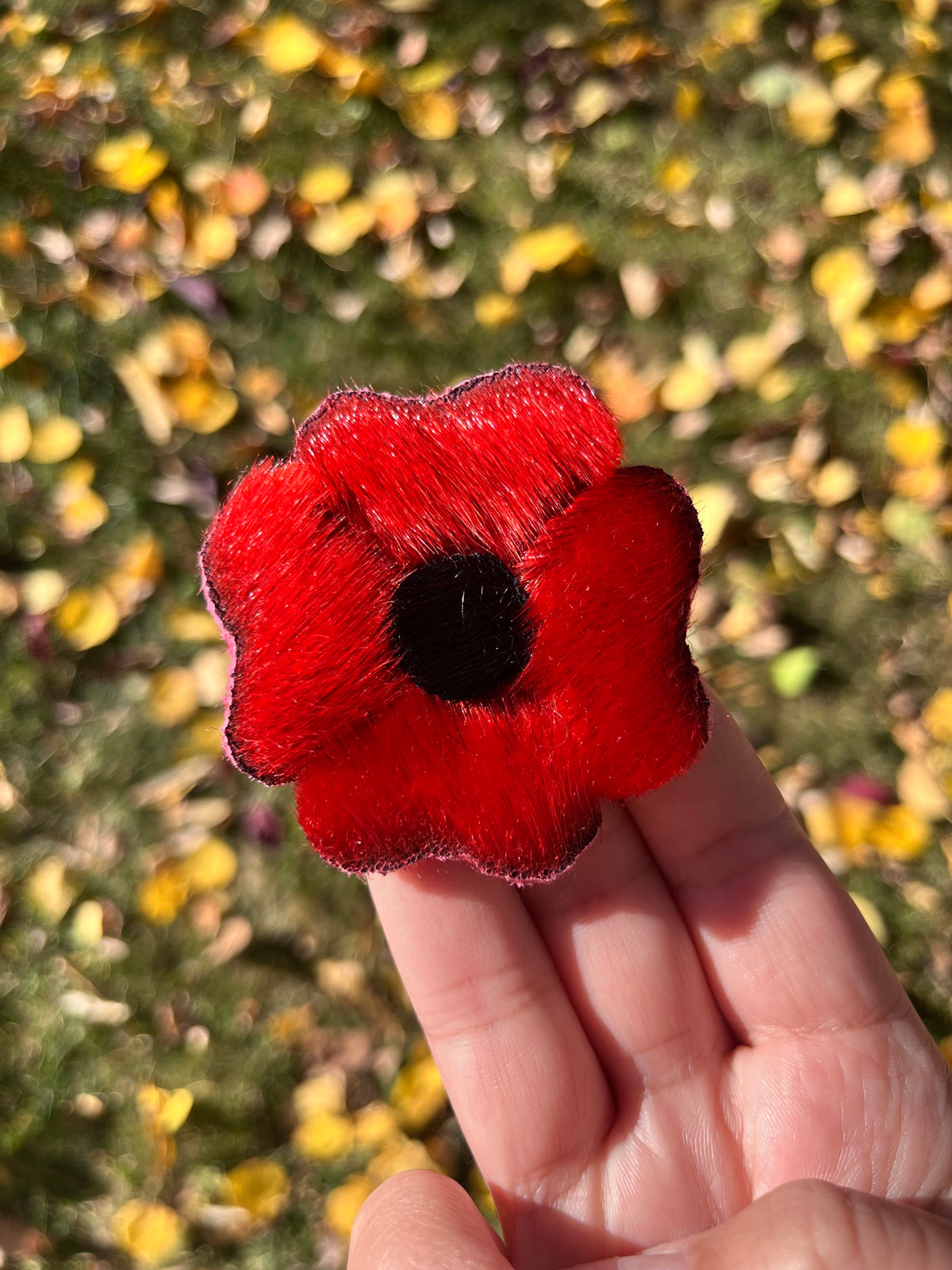 Seal Poppy #B